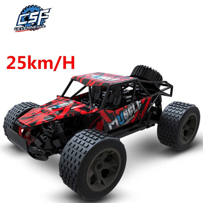 RC Cars Radio Control 2.4G 4CH rock car Toys